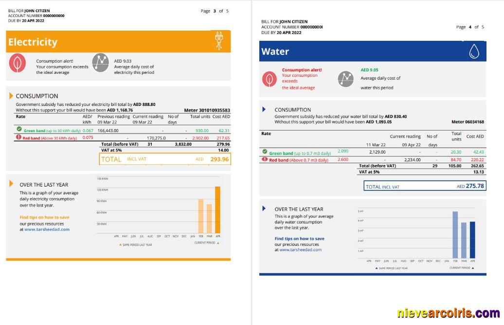 UAE Abu Dhabi Al Ain Distribution Co utility bill 5 pages 3 4